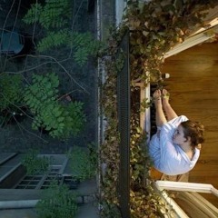 أوعى تتوه يا قلبي وتقول الظروف