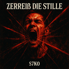 Zerreiß die Stille