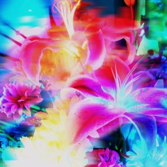 Shyntwirl - Chlorophyll