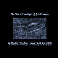 Graveyard Salamander (Produced by A-ZeE $corpion)