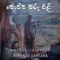 Kontha Tharueli (කොන්ත තරුඑළි) - Tharindu Damsara [Official Audio]