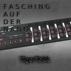 F A S C H I N G   A U F   D E R   N A N O