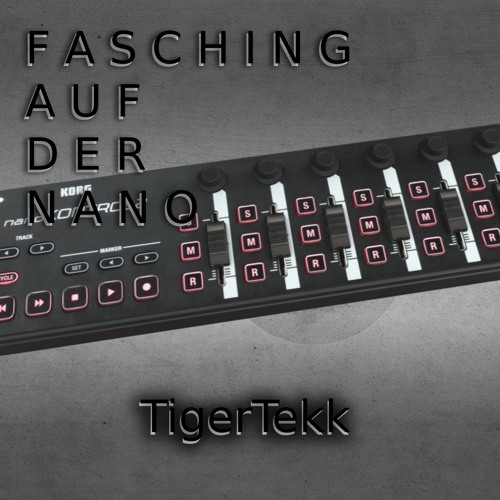 F A S C H I N G   A U F   D E R   N A N O