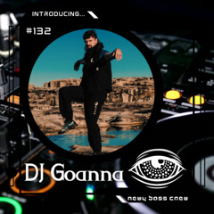 Introducing... Guest Mix #132 DJ Goanna