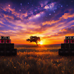 Into the Sunset (Live Set)