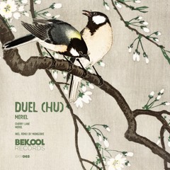 Duel (HU) - Cherry Lane (Orignal Mix)