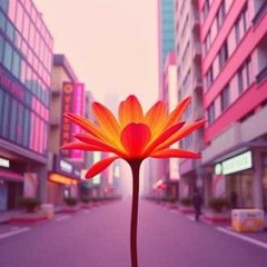 Fleur et Feu