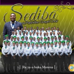Tsa lefatshe