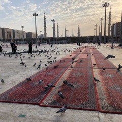 ألا يالله بنظرة من العين الرحيمة - معاذ النص رحمه الله