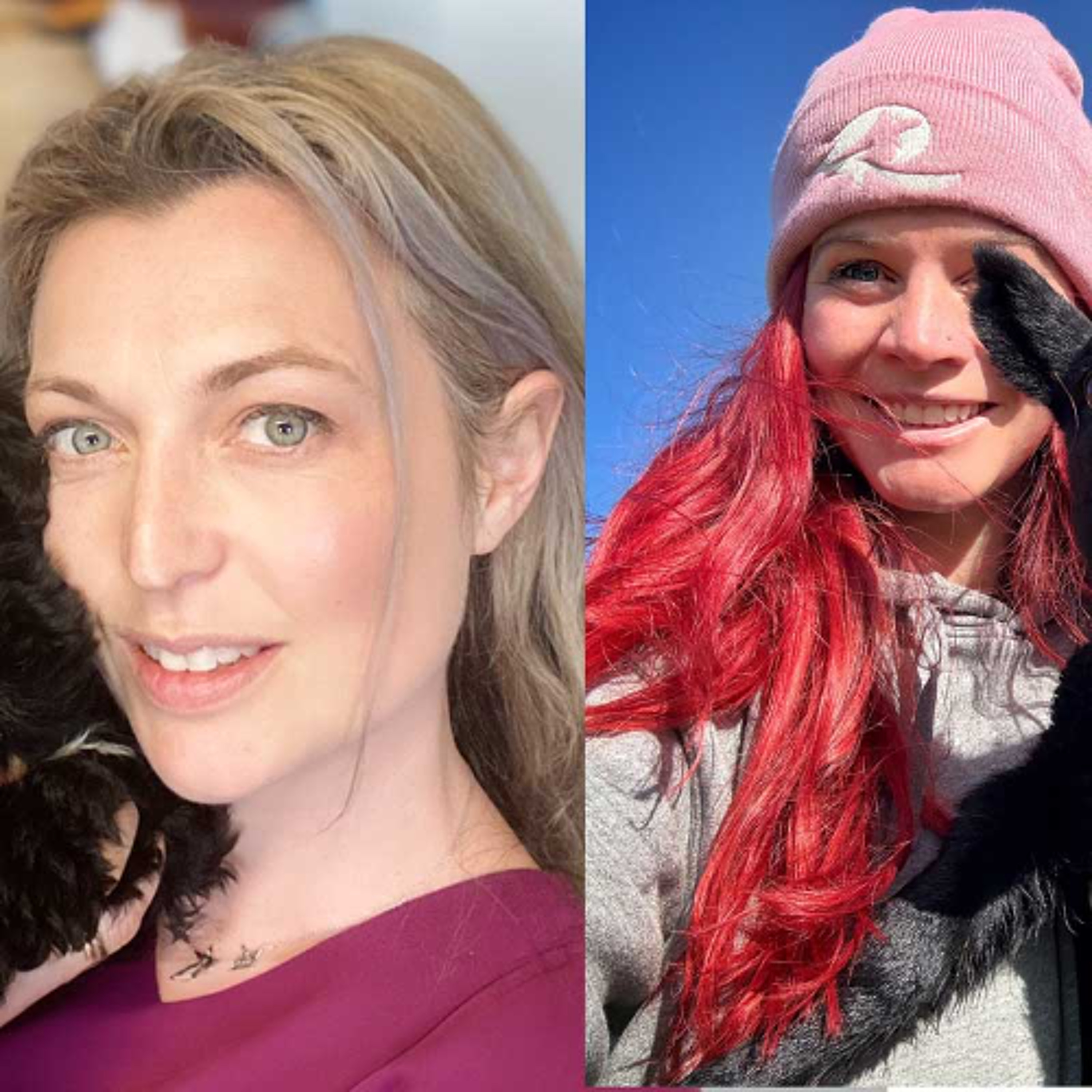 Vet Times Extra: Tackling tapeworm topics and treatments – with Cat Henstridge and Hannah Jackson episode artwork