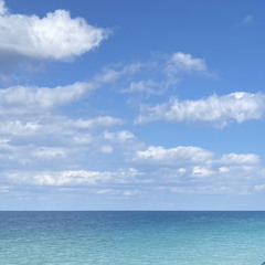 Houston Meeting Thursday Night We’re building a wall