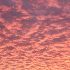 House_session #no. 1