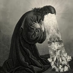 Fallen angel.Jose Montana ft ktb Kyle
