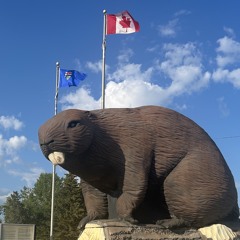 I can save you (trap goose the goat remix)