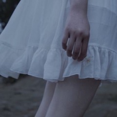 Sogyumo Acacia Band Butterfly (live)