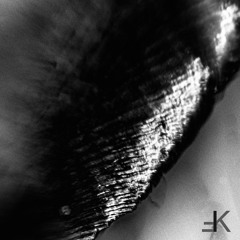PREMIERE: Øbsidiaän - Dyspnea (SPEAR Remix) [Feinkost Records]