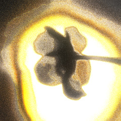 MQX X HALO KING - NO LIMIT (SPED UP)