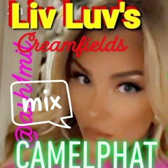 Liv Luv's Camelphat Creamfields Mix