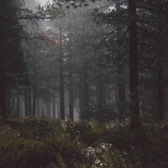witch in the quiet forest 2003