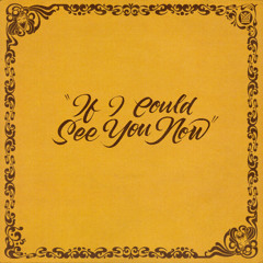 If I Could See You Now