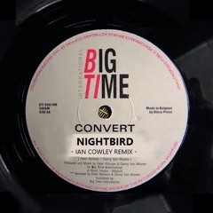 Convert - Nightbird (Ian Cowley Remix) Free DL