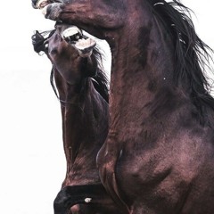 phobie d'impulsion (demo)