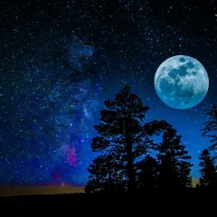 Blue Moonlight