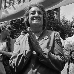 Betty Friedan's "The Feminine Mystique"