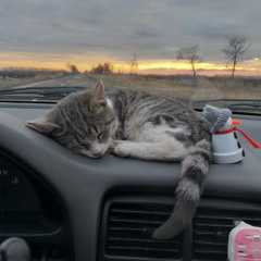 \\\lets go home. (long drive)\\\