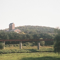 버둥- 꿈 앞에 스러진 나무 같이