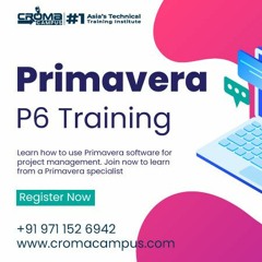 Features Of Primavera P6