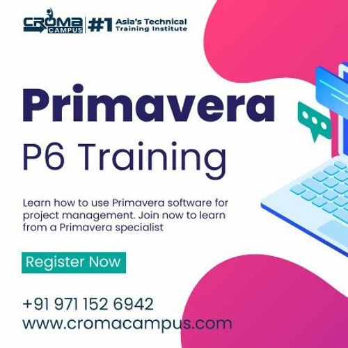 Features Of Primavera P6