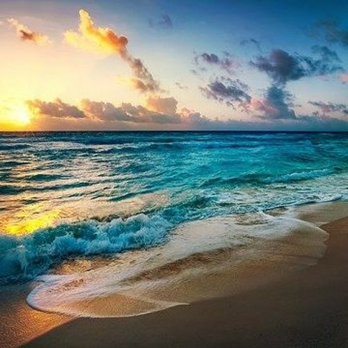 THE TIDE by Elizabeth O.S. Chute