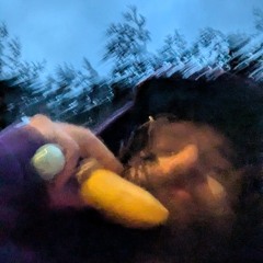 that smell like money to you.d1.wav