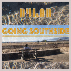 Going Southside