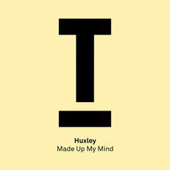 Made Up My Mind (Extended Mix)