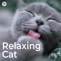 Relaxing Catnap
