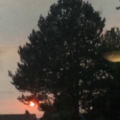 Didn’t Want To Have To Do It