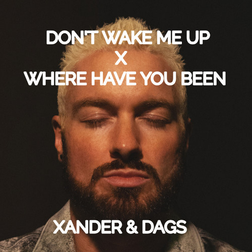 James Hype X Rihanna - Don't Wake Me Up vs Where Have You Been (XANDER & DAGS Mashup)