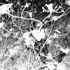 shitty freestyle type beat