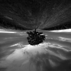 Empyrean (Edit)