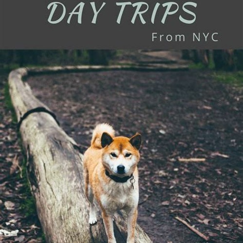 Stream 30 Best Awasome Dog Friendly Day Trips From Nyc Ideas Tour by