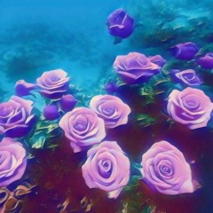 () Purple Rose prod. O.L. Willy