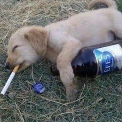daddy issues - the neighbourhood - slowed