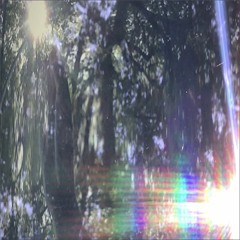 Primate Pyramid "Pull Up"