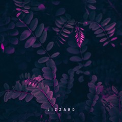 Lizzärd in Electric Forest