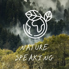 Nature Speaking, Noise Pollution