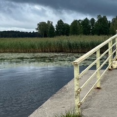Stagnant Water