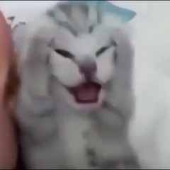 얘기듣고가