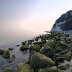 2022 Baltic Sea Chalk Cliffs Fieldrecording
